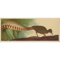 Murray Griffin, Lyre Bird Feeding, 1936, linocut, ed. 6/17