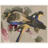 Murray Griffin, Blue Parrots, c.1955, linocut, ed. 20/23