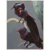 Murray Griffin, Gorget Bird of Paradise, c.1960, linocut, ed. 11/29
