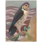 Murray Griffin, Masked Owl, c.1966, linocut, ed. 6/26