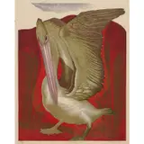Murray Griffin, Dancing Pelican, 1951, linocut, ed. 27/28