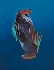Sam Leach, Rosella, 2020, oil on board