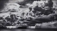 Murray Fredericks, Hector #12, 2011, pigment print, ed. 5/7 + 2AP