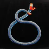 Mark Laita, Malayan Coral Snake, 2010, archival pigment print, ed. 4/15 + 2AP