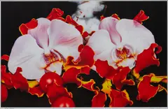 Mark Quinn, Under the Volcano, Tengger Caldera, 2011, pigment print, ed. 2/20
