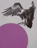 Sam Leach, Vulture