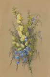 Ellis Rowan, Still Life with Spring Wattle