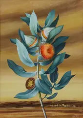 The Mottlecah - Eucalyptus Macrocarpa by Paul Jones, gouache on paper, sold Sep 2023