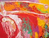 Myra Cook, (Language group: Ngaanyatjarra), synthetic polymer paint on linen