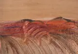 Central Australia and Animal Form by Sidney Nolan, 1968, mixed media on paper, sold May 2023