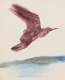 Bird by Sidney Nolan, mixed media on paper, sold May 2023