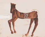 Horse, Greece by Sidney Nolan, c.1955, oil on coated paper, sold May 2023