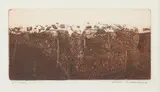Fred Williams, Sandstone Hill Number 1, 1961, etching, engraving and drypoint, ed. 21/30
