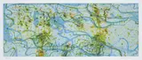 John Olsen, Tropical Lily Pond, archival pigment print, ed. 83/250