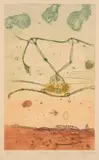 John Olsen, Kimberley Tree Frog, 1984, etching, ed. 7/100