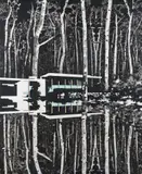 Paul Davies, Displaced, Home Forest, 2014, synthetic polymer paint on canvas