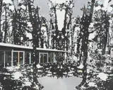 Paul Davies, Forest House, 2015, vinyl acrylic copolymer on canvas