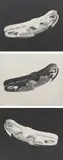 David Noonan, Untitled: Pool, 1993, oil on canvas (3)