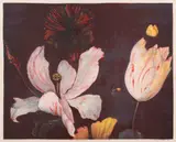 Tim Maguire, Vita Breve, 1991, lithograph, ed. P.P 1/2