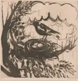 Brett Whiteley, Magpie, 1977, sugarlift aquatint, ed. 55/60
