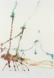 John Olsen, Giraffes and Balloon II, 2011, archival pigment print, ed. 35/99