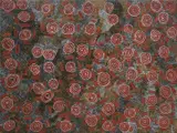 Wentja Napaltjarri, Rockholes West of Kintore, 2005, synthetic polymer paint on canvas