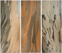 Philip Wolfhagen, Still Life Triptych No. 1, 2000, oil and beeswax on linen