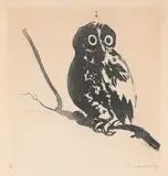 Brett Whiteley, Startled Owl, 1984, sugarlift aquatint, ed. 25/30