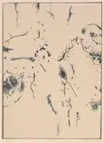 Fred Williams, Acacias 1976–1978, lithograph, ed. A/P