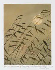 From the Adventures of X and Ray by Lin Onus, 2000, archival pigment print, ed. 23/99, sold Nov 2022
