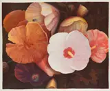 Tim Maguire, Hollyhocks, 1991, lithograph, ed. BAT