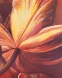 Tim Maguire, Open Tulip, 2002, lithograph, ed. 21/80