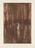 David Noonan, Untitled, 2005, etching, ed. 29/45