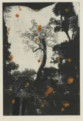 John Loane, Buddha Reigns, 2018, aquatint etching