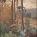 Mabel Pye, Old Gum at Warburton, oil on board