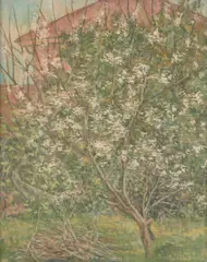 Sheila McCubbin, A Forgotten Orchard, oil on board