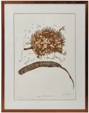 John Olsen, Echidna & Dark Puddle, 1981, colour lithograph, ed. 26/40