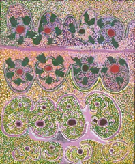 Barney Wangin, (Pitjantjatjara Language Group), synthetic polymer paint on linen