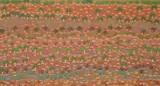 Michelle Holmes Apwerl, (Alyawarre Language Group), synthetic polymer paint on linen