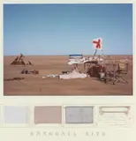 Tim Storrier, Enngonia Site, 1981, collage, canvas, silkscreen and cibachrome, ed. 30/60