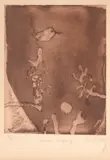 John Olsen, Cicada Singing, 1978, etching, ed. 9/60