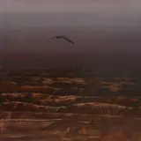 Lawrence Daws, Omen Bird in Landscape