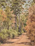 William Boissevain, Untitled (Bush Scene)