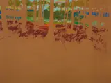 George Haynes, Pineboard II, 1976, oil on board