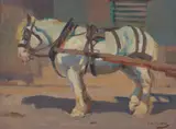 Harold Septimus Power, Horse