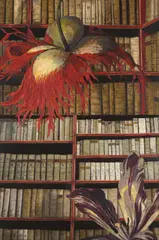 James McGrath, Ex Libris X, 2013, oil on canvas on board