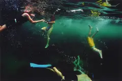Narelle Autio, Snorkellers, 2001, c-type photograph, ed. 6/15