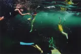 Narelle Autio, Snorkellers, 2001, c-type photograph, ed. 6/15