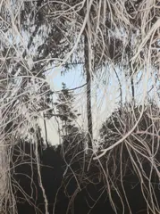 Periphery #2 (Veil) by Andrew Browne, 2010, oil on linen, sold May 2022