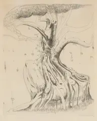 Brett Whiteley, Moreton Bay Fig, 1979, etching, ed. 153/200